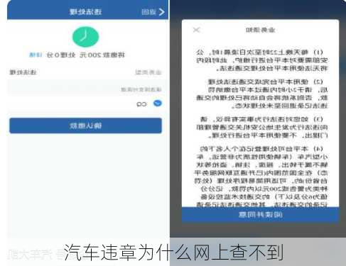 汽车违章为什么网上查不到