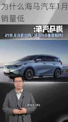 为什么海马汽车1月销量低