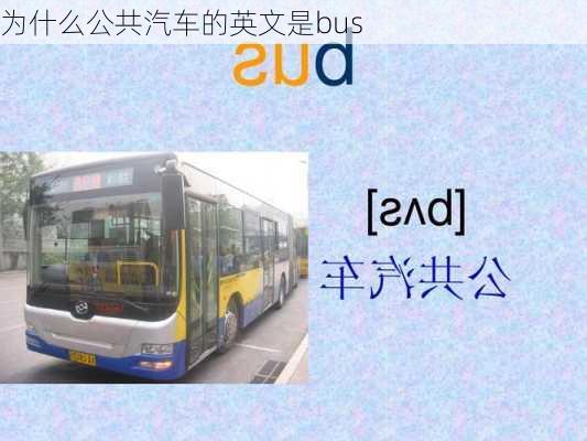 为什么公共汽车的英文是bus